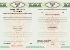 Диплом училища (ПТУ) с 2010 по 2025 годы